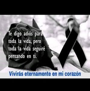 Meet your Posher, Wilber